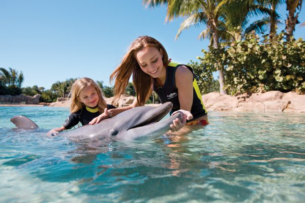 Discovery Cove