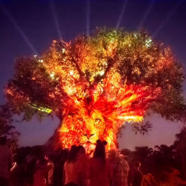Get Even More Out of Your Visit with Disney After Hours 2 Get Even More Out of Your Visit with Disney After Hours