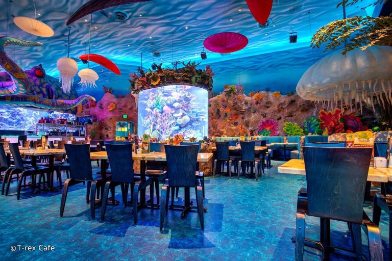A Guide to Dining at Disney Springs Casiola