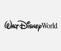 logo wdw grey