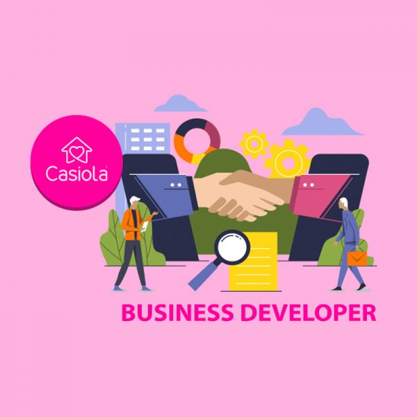 businessdeveloper