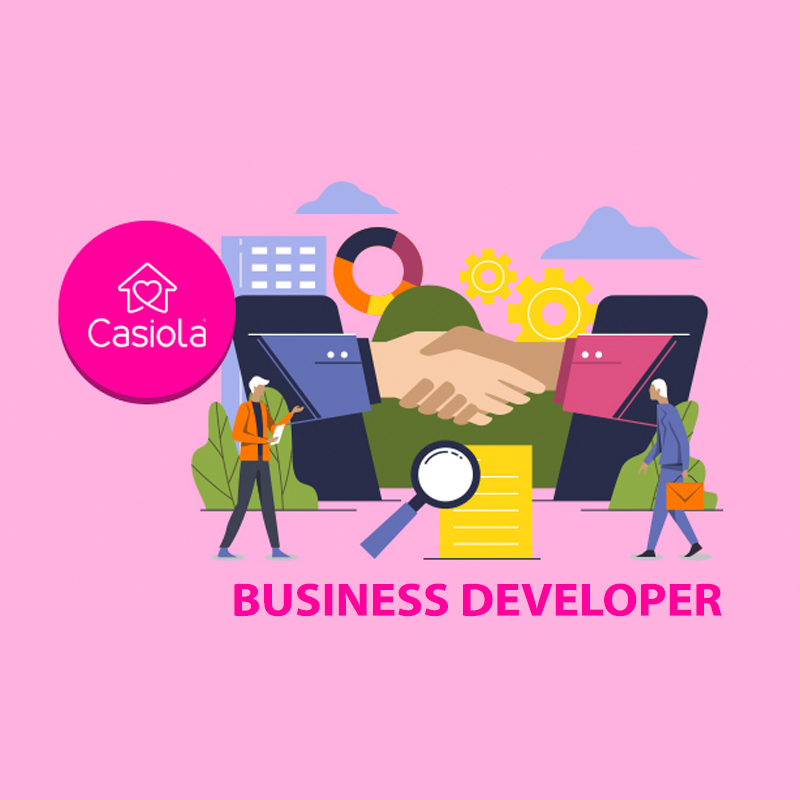 businessdeveloper