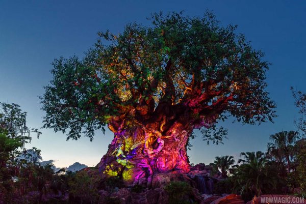 The Tree of Life Full 28044