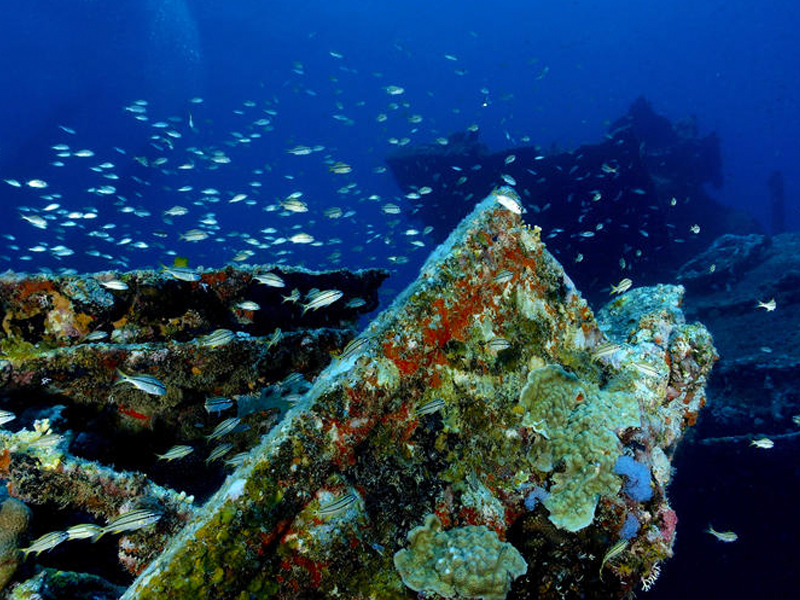 7. Antilla Shipwreck