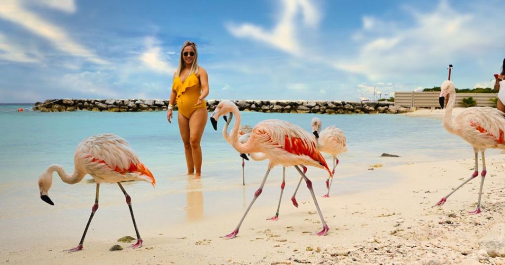 woman walking with flamingos on beach