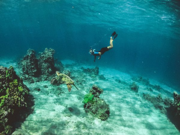 snorkeling in Aruba