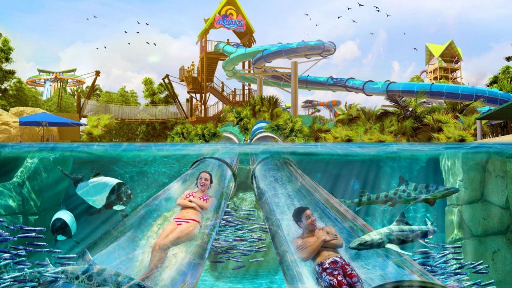 Reef Plunge Aquatica