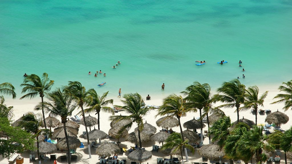 beach with palm trees