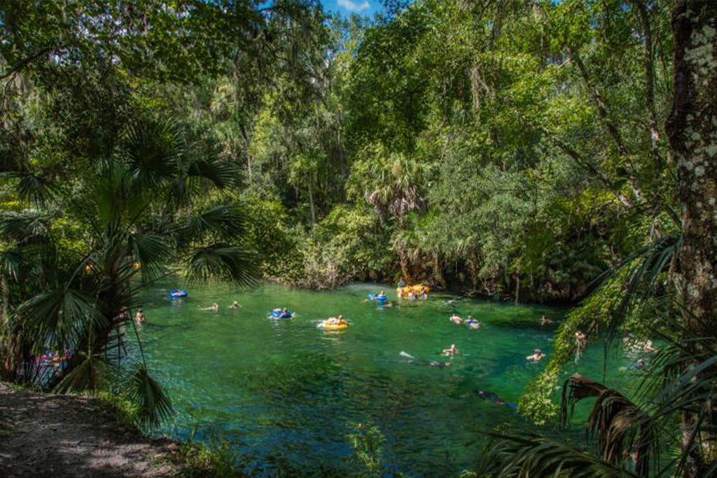 31018018 Blue Spring State Park Friends and Family Cooling Off David Montague copy