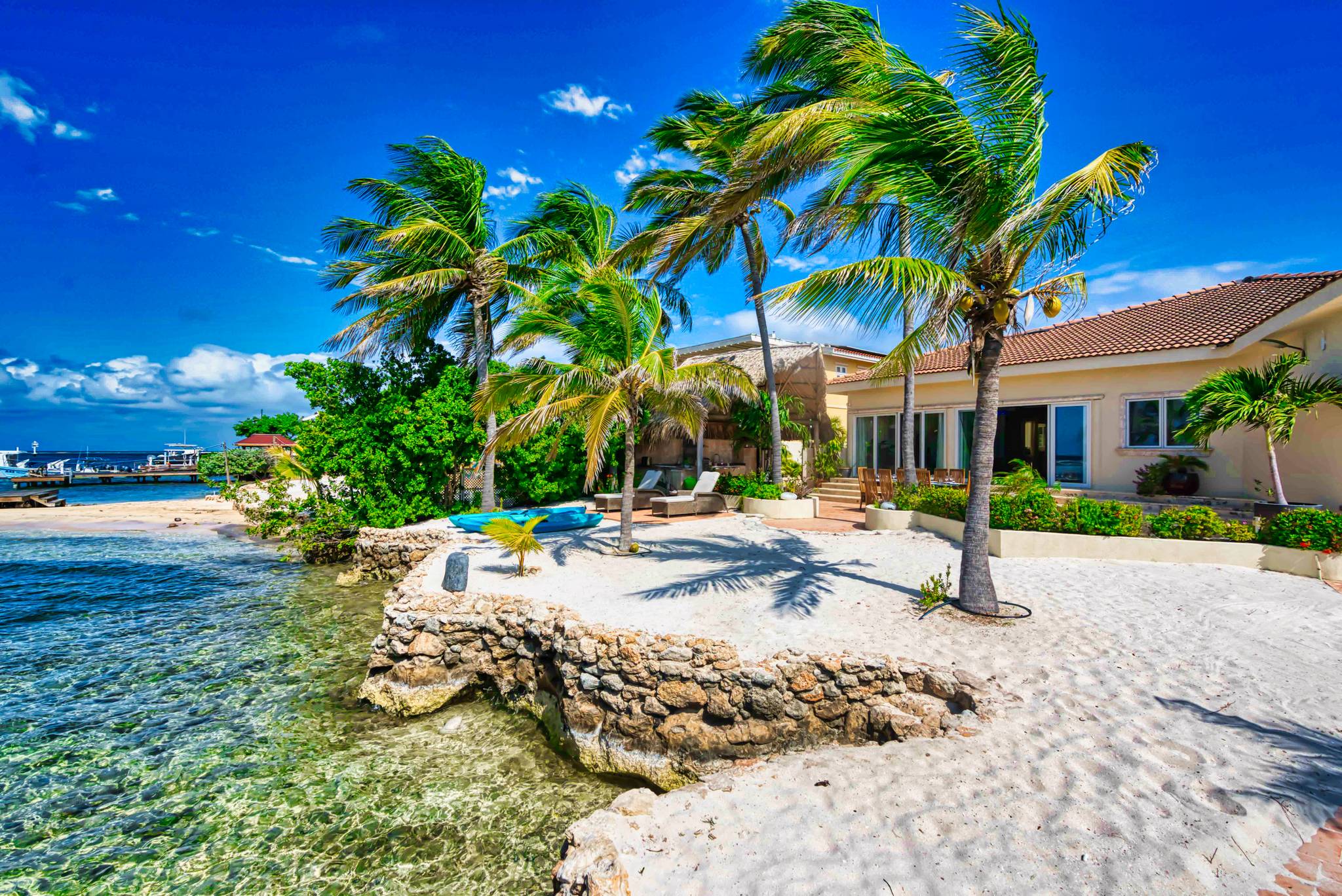 backyard with beach and palm trees