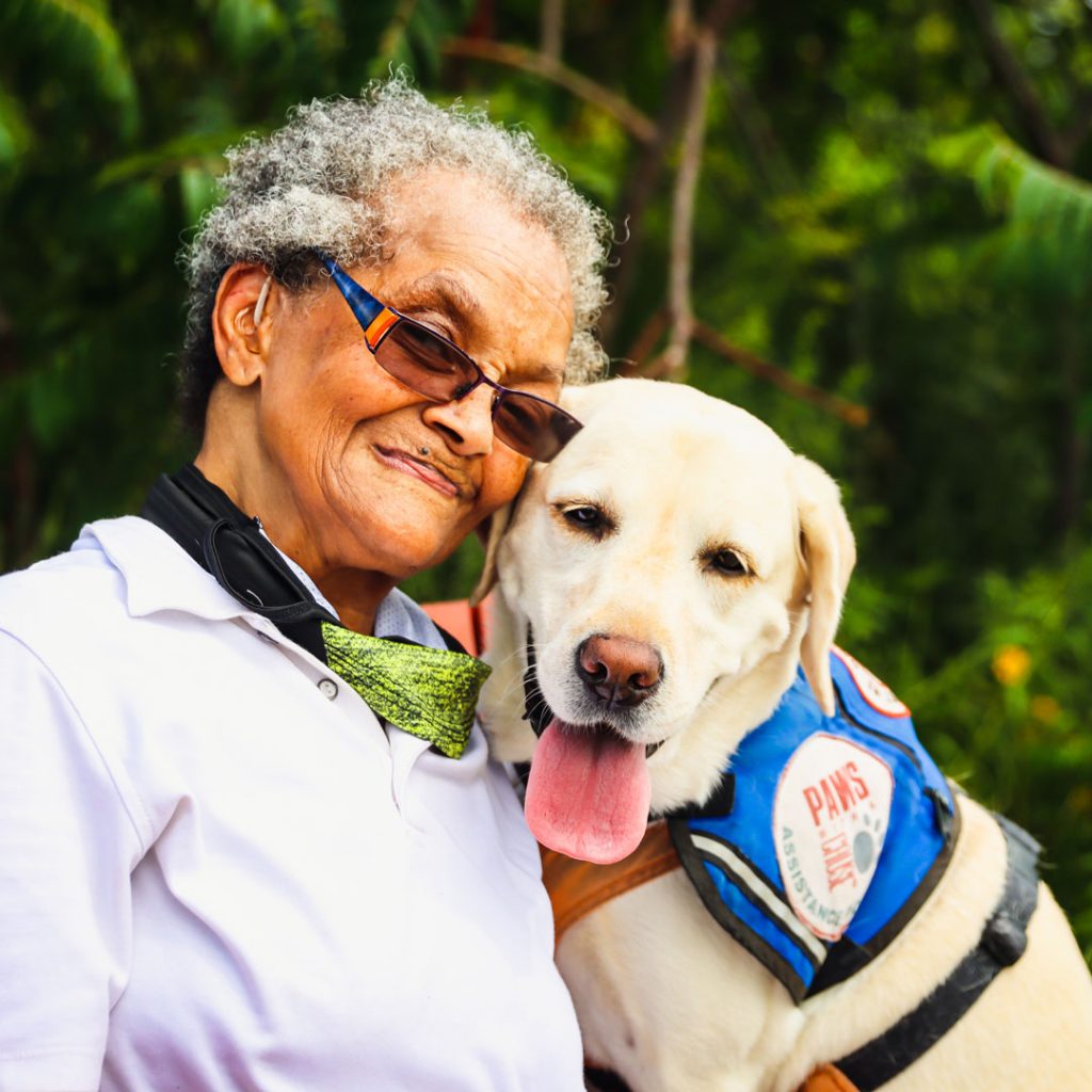 service dogs assistance animals