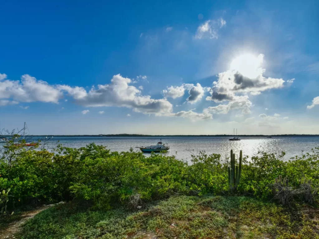 ocean view and grassy area