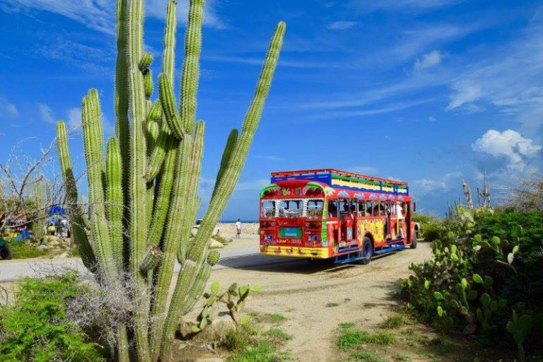 Kukoo Kunuku The Aruba Party Bus Casiola