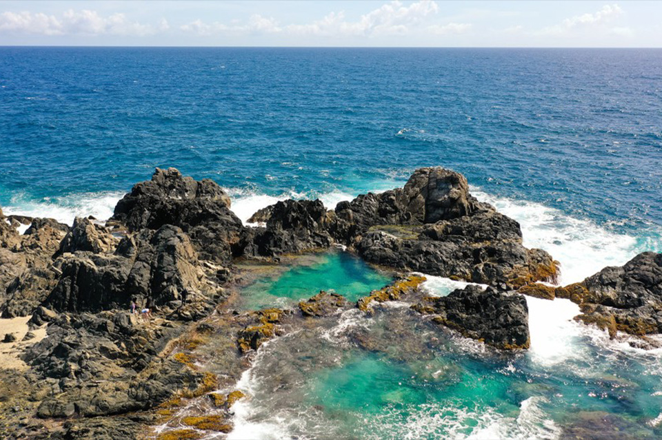 NATURAL POOL