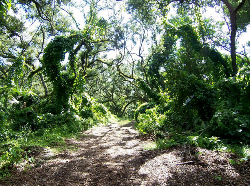 Arch Creek Park Miami