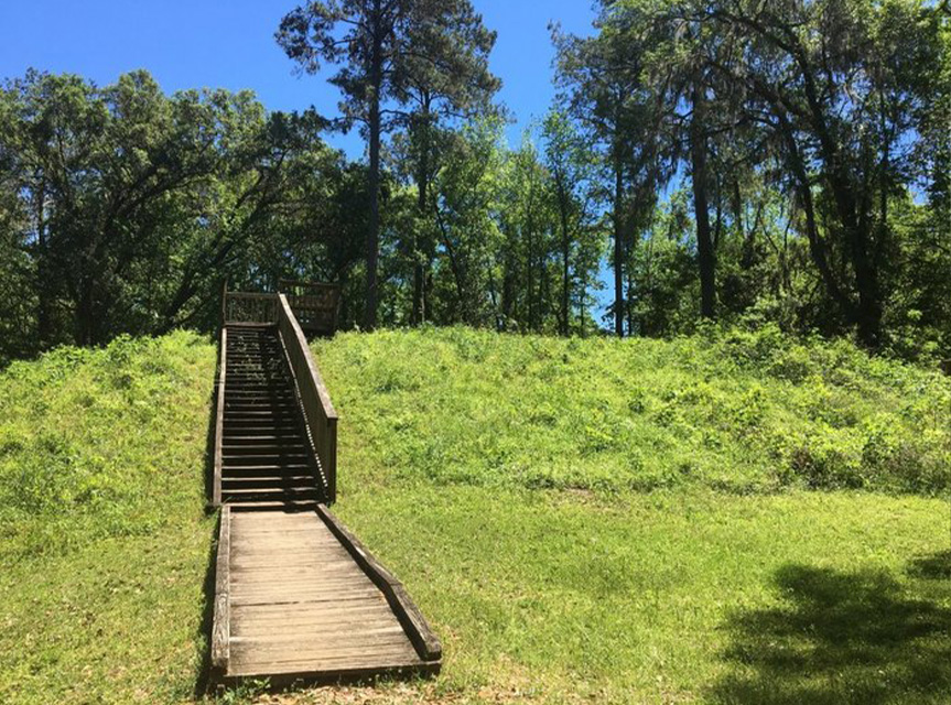 Butler Mill Trail Lake Jackson Mounds Archaeological State Park