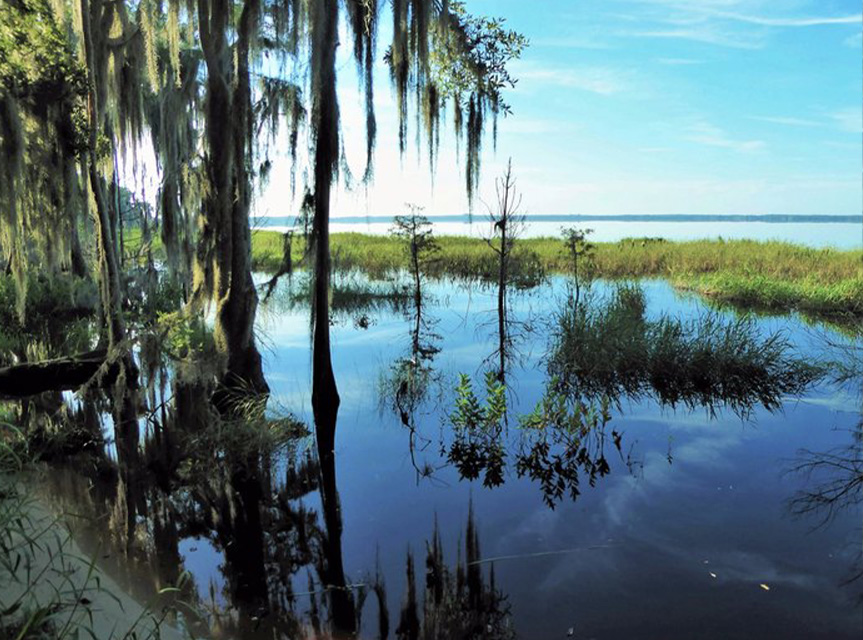 Crooked River Preserve Clermont