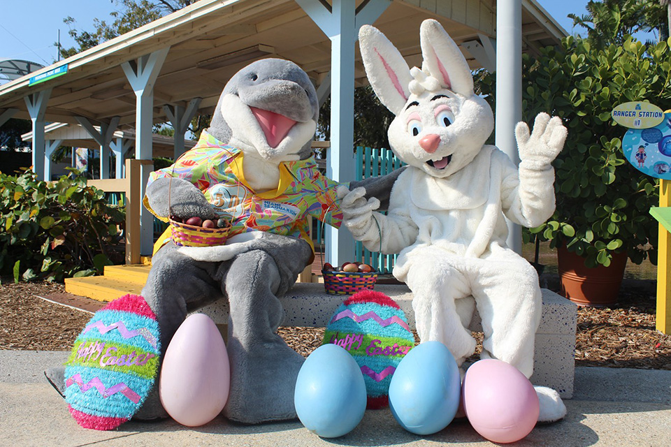 casiola miami easter bunnypalooza