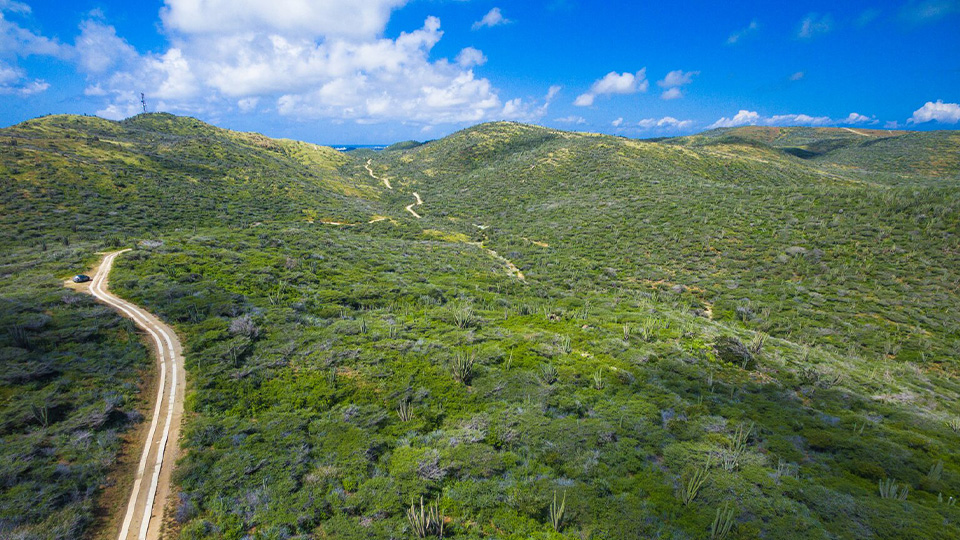 casiola aruba outdoor activities hike bike trails