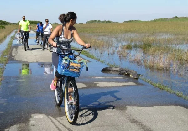 miami biking trails