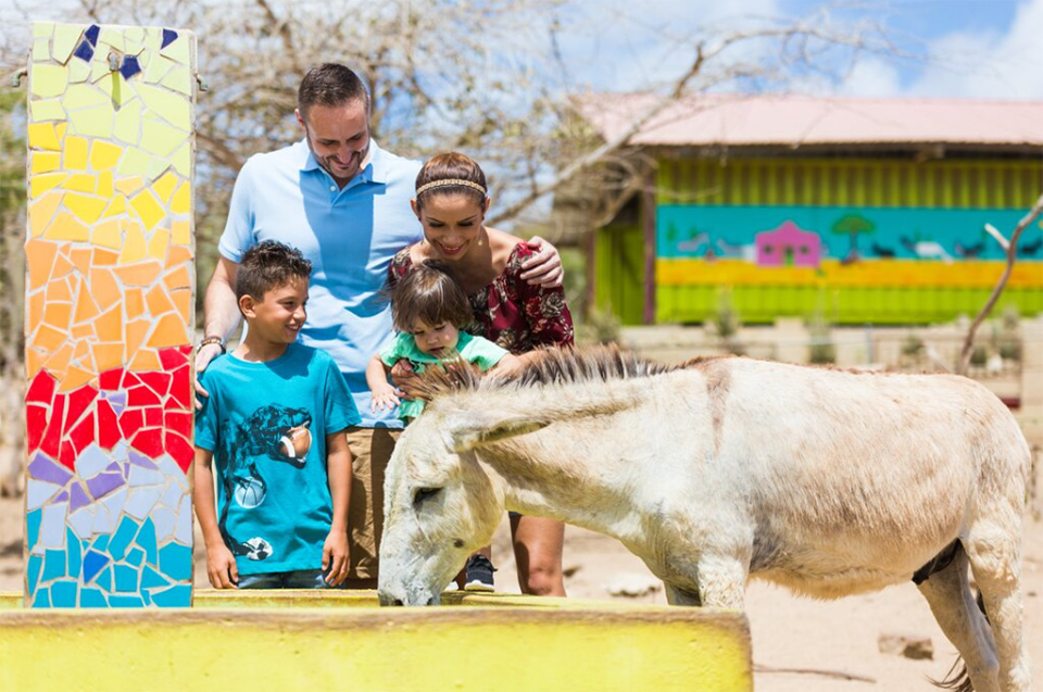 donkey sanctuary in aruba