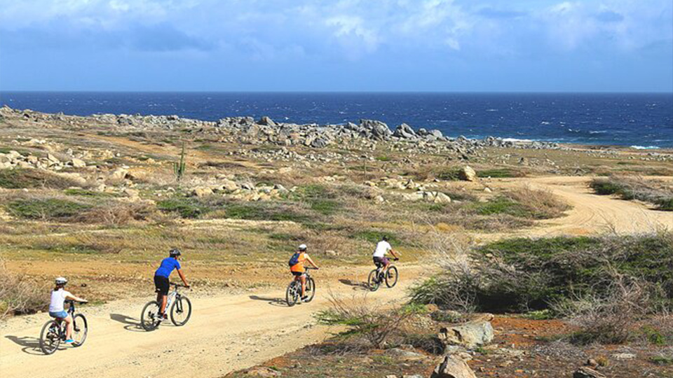 casiola aruba top bike tours 04