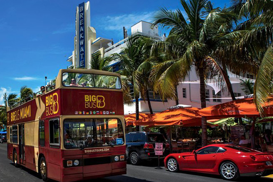 casiola miami big bus tours day tour