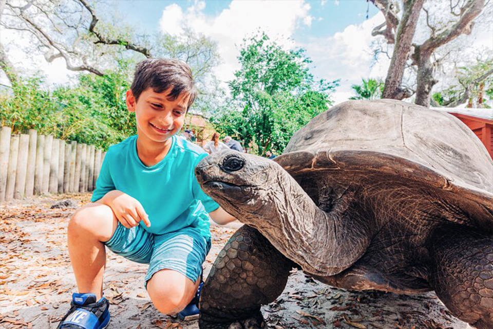 casiola orlando florida central zoo animal encounter