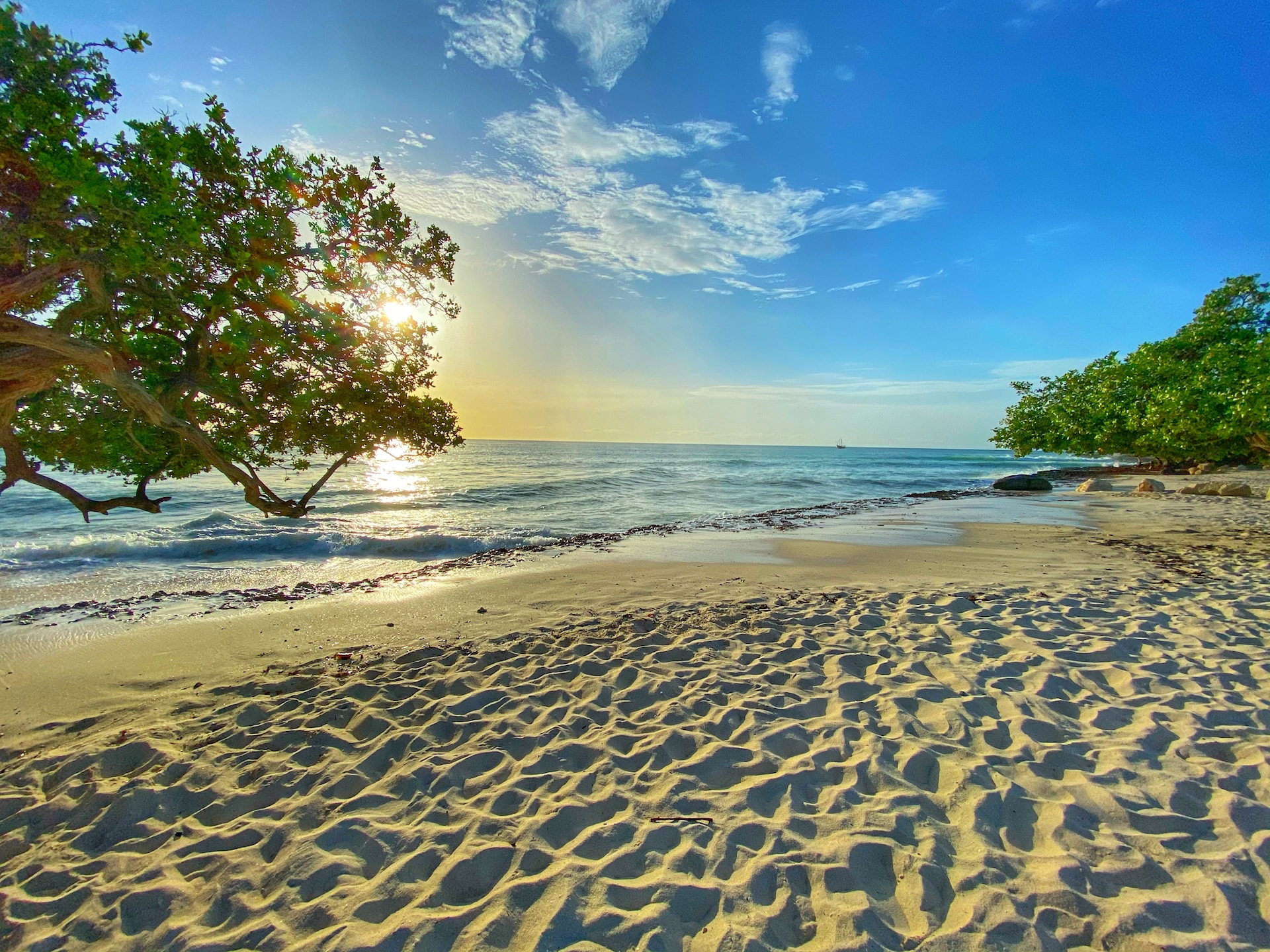 Aruba Sandy Beaches