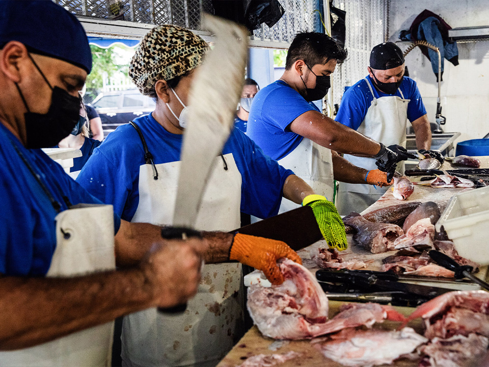 casiola miami seafood markets