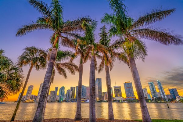 Things to do in Miami