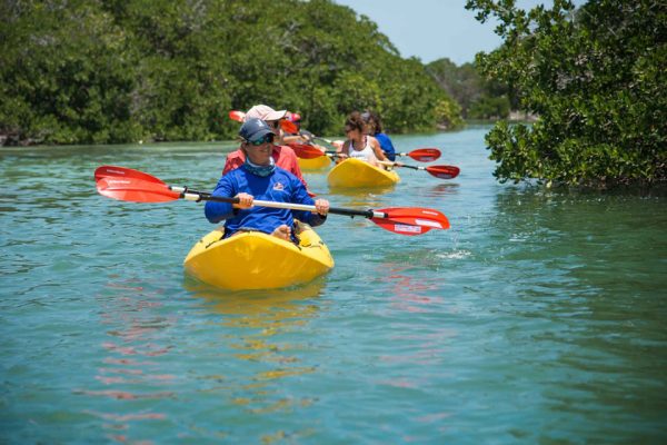 Miami's Outdoor Wonderland