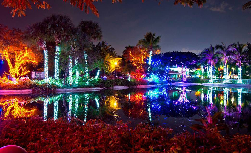 casiola miami zoo lights 3