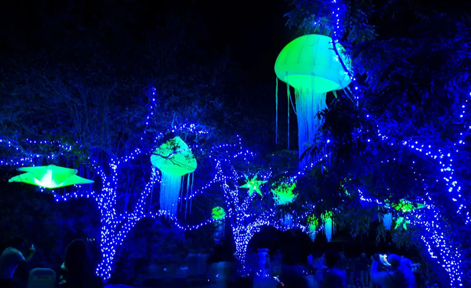 casiola miami zoo lights 7