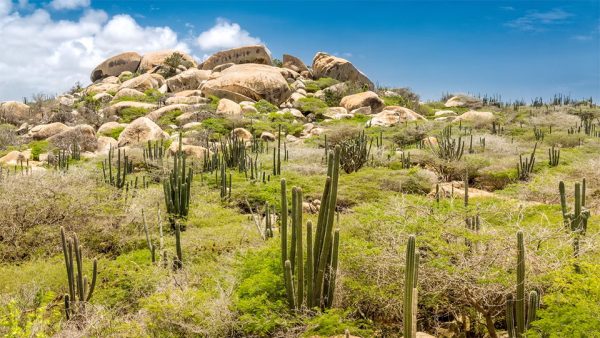 Aruba's Hiker's Guide