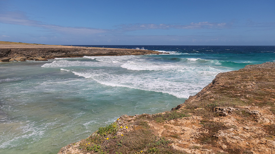 casiola aruba hikers guide daimara beach