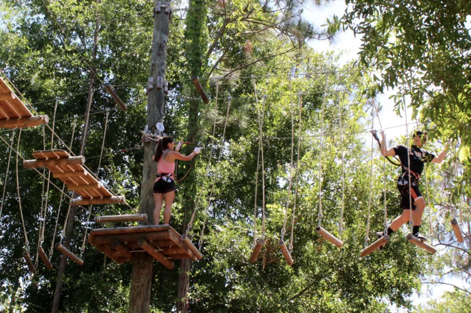 casiola orlando fall activities tree trek adventure park