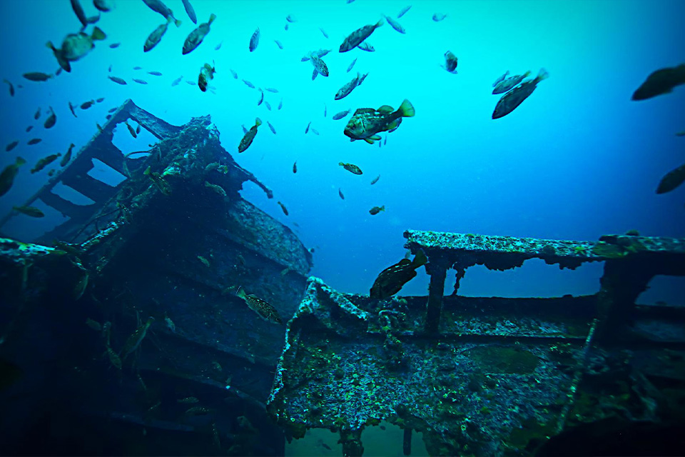 casiola aruba antilla wreck