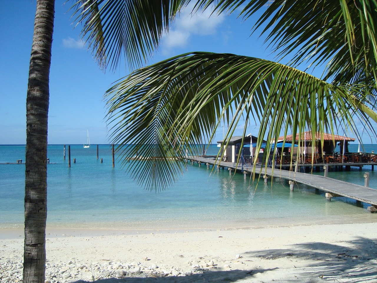 Sunny beach with a view of the ocean with palm trees and a dock at Aruba Island