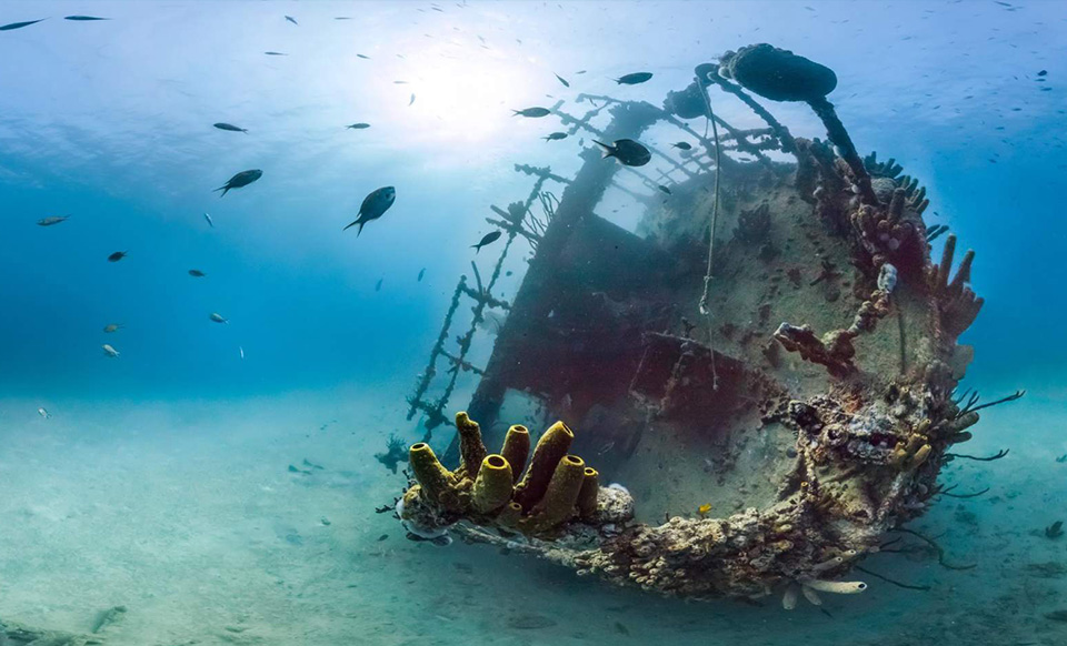 casiola aruba antilla shipwreck 02