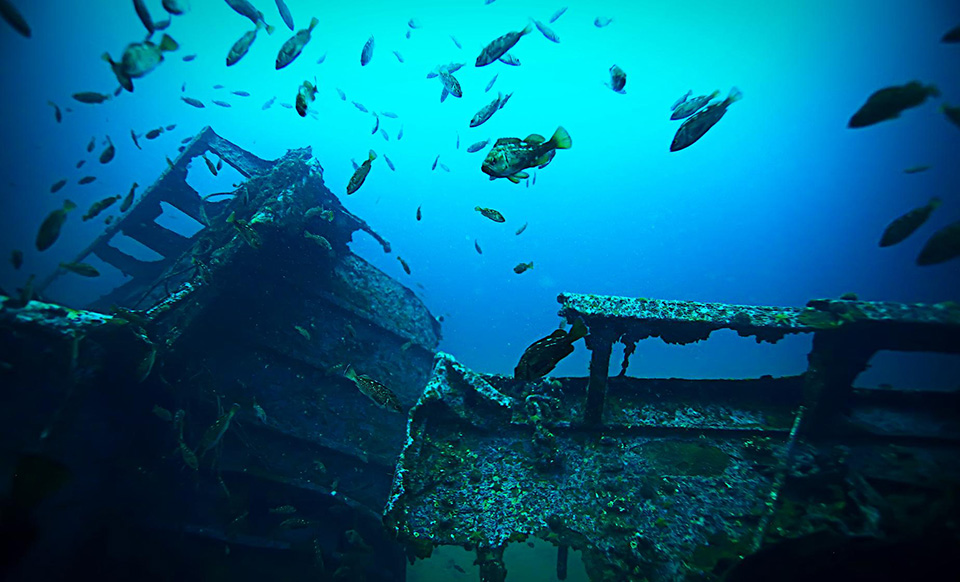 Antilla Shipwreck