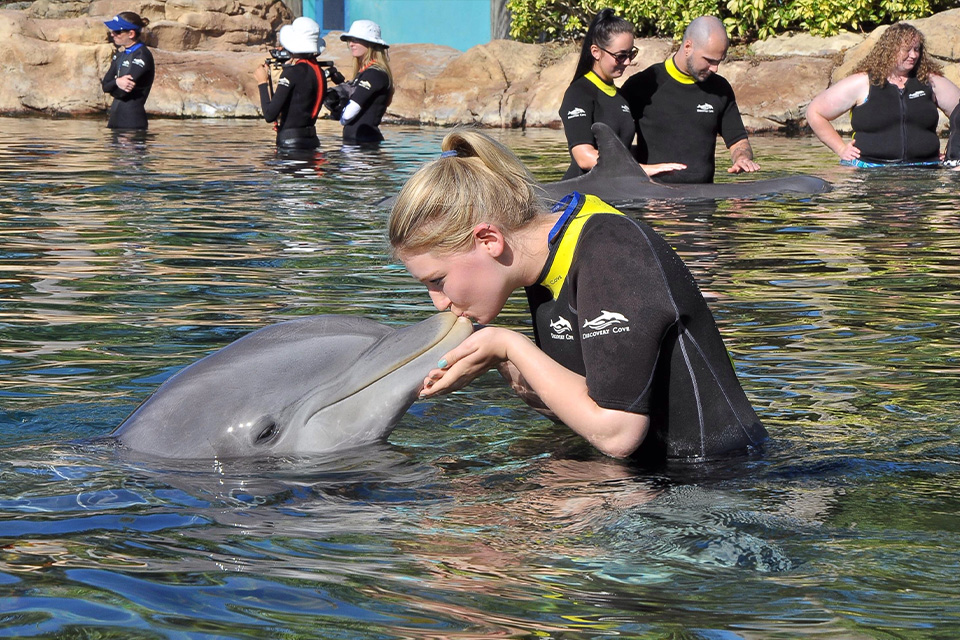 casiola orlando discovery cove conservation and community