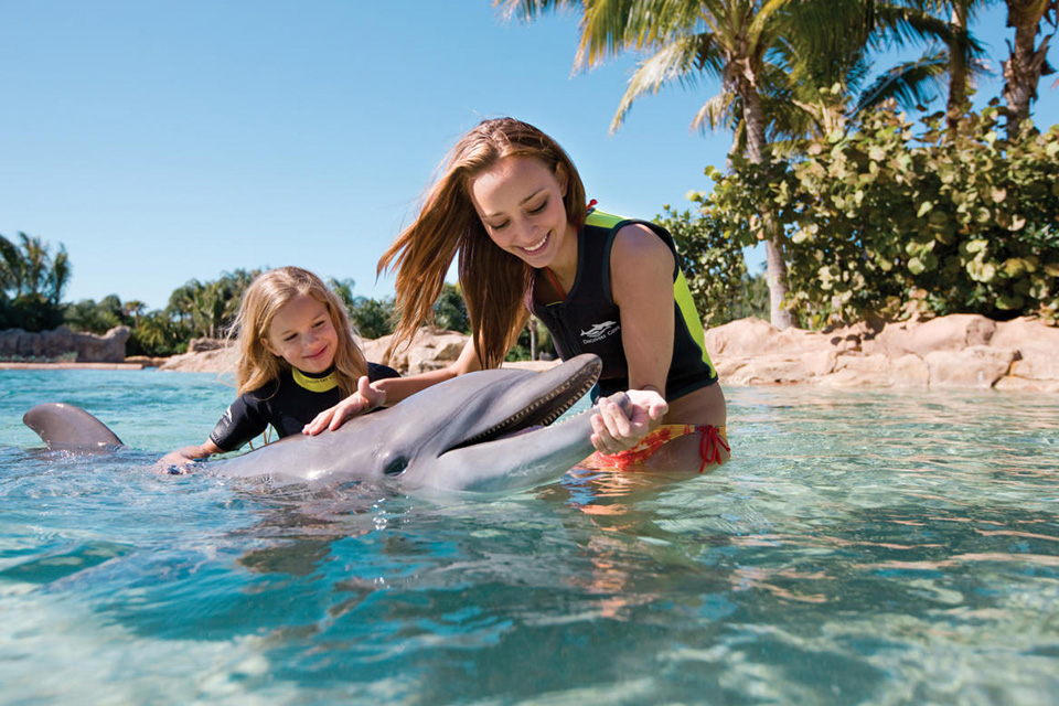 casiola orlando discovery cove swim with dolphins