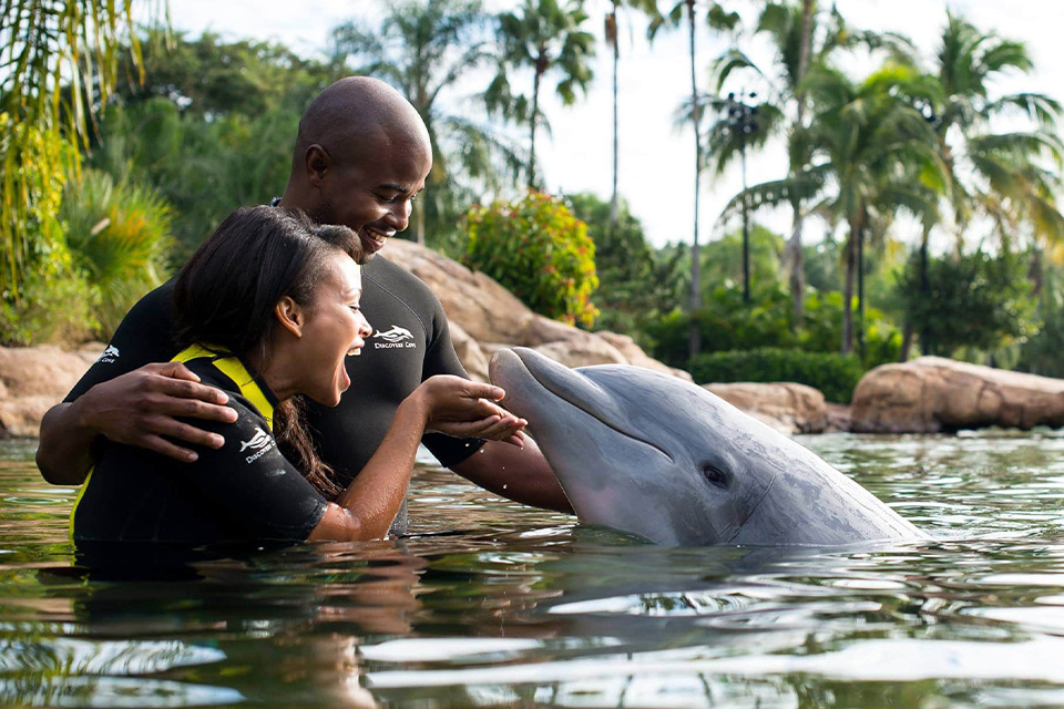 casiola orlando discovery cove visiting