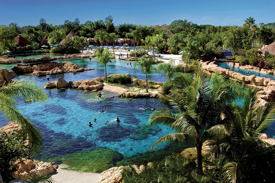 casiola orlando discovery cove what is