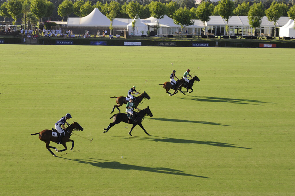 Sotogrande polo