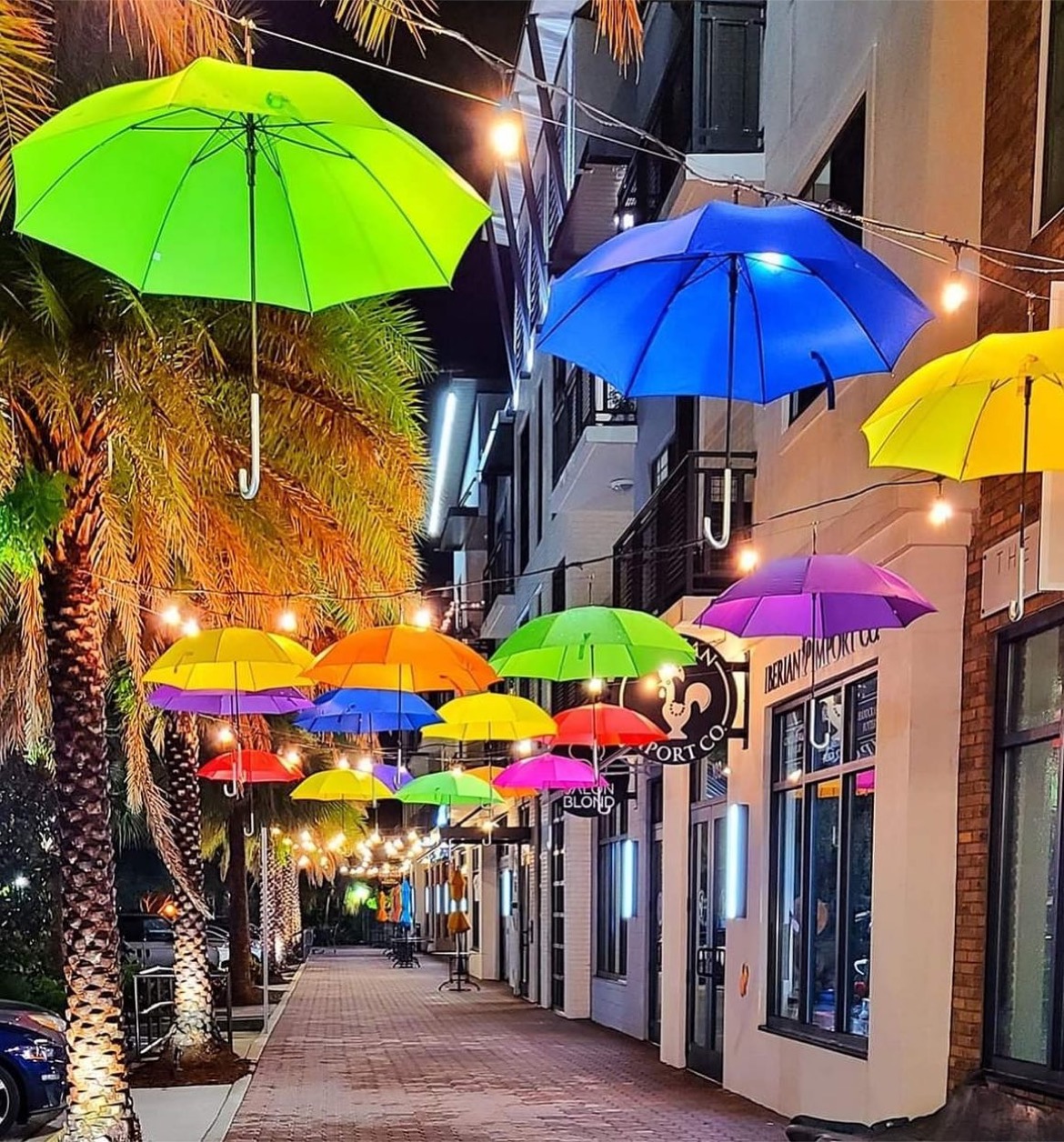 Dunedin Pride week