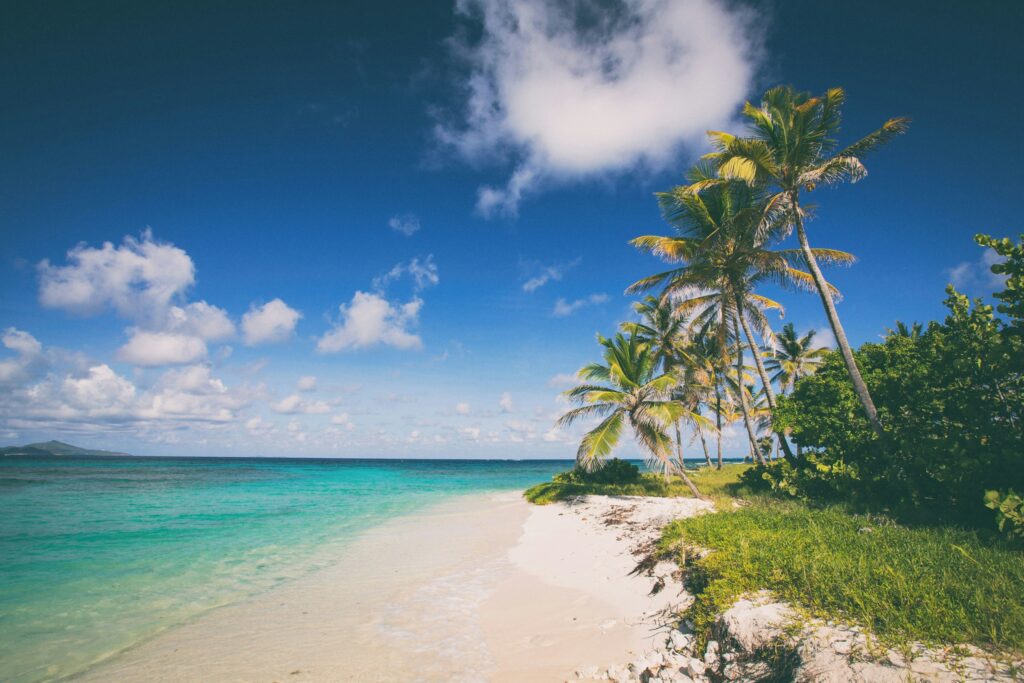 Casiola franchise Caribbean