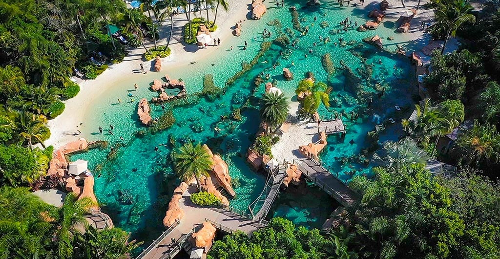 Orlando activities in August