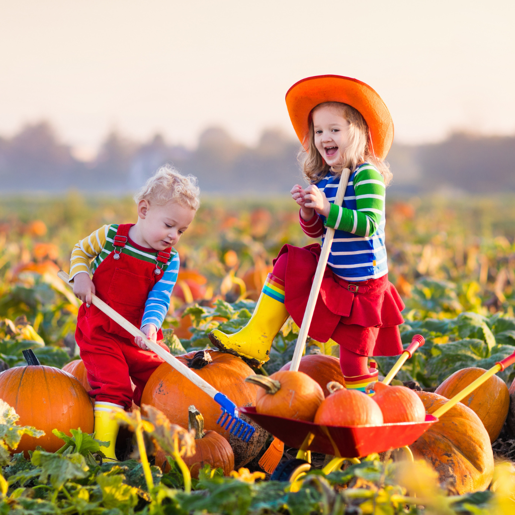 PHOTO TEMPLATE copy 1